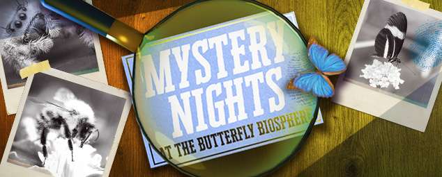 Mystery Night