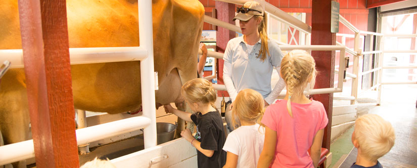 4 children in line to milk a cow at Farm Country