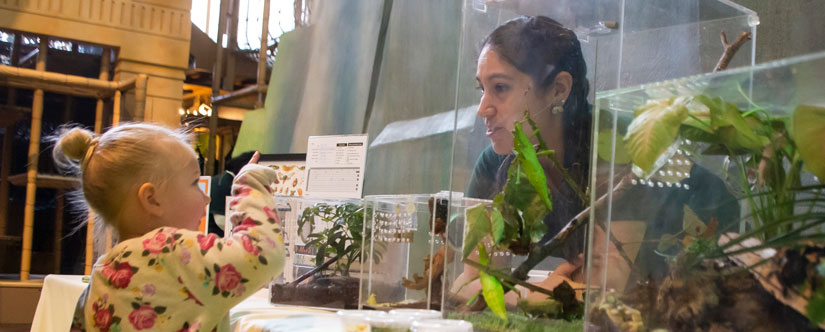 Little girl with blonde hair in bun and flower shirt points at bug habitat in front of woman in green polo