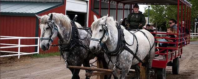 Wagon Ride