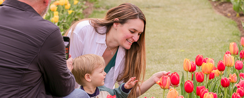 mother showing tulip to young son, father holding camera taking photo