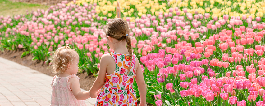 two little girls holding hands in front of thousands of pink shades of tulips
