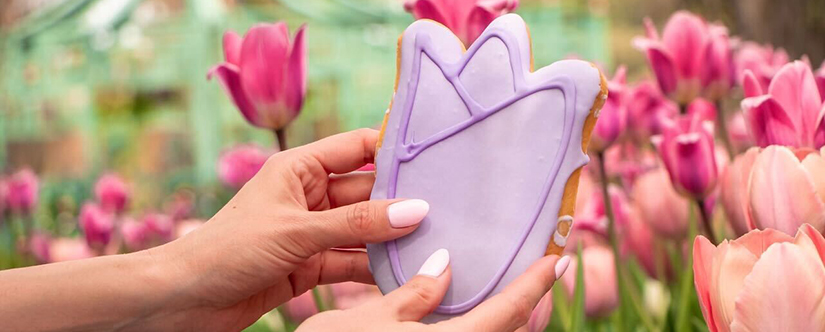 tulip cookie from concessions in front of pink tulips