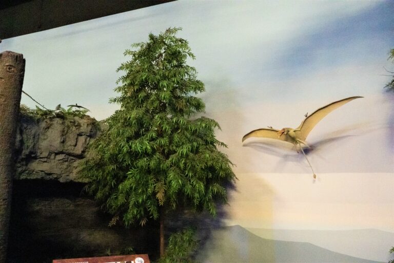 Jurassic conifer tree model next to a pterodactyl model.