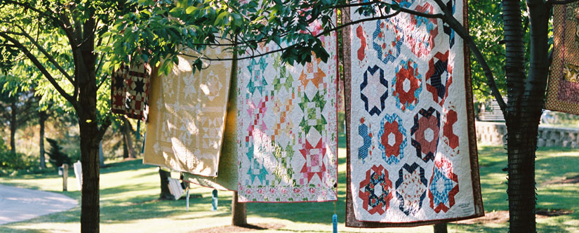 quilts hanging between trees