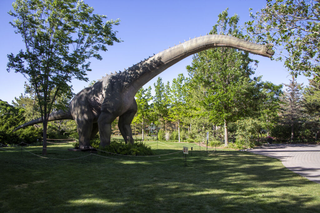 A full-scale dinosaur model at Dinosaur Island in Ashton Gardens.