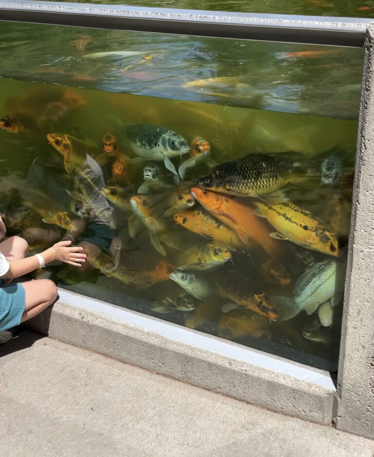 Kids look at a fish for Day In The Life of an Explorer.