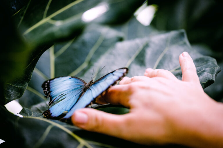 Holding a butterfly in the Butterfly Biosphere.