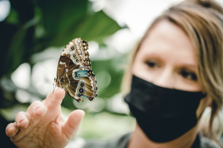 Woman holding a butterfly in the Butterfly Biosphere.