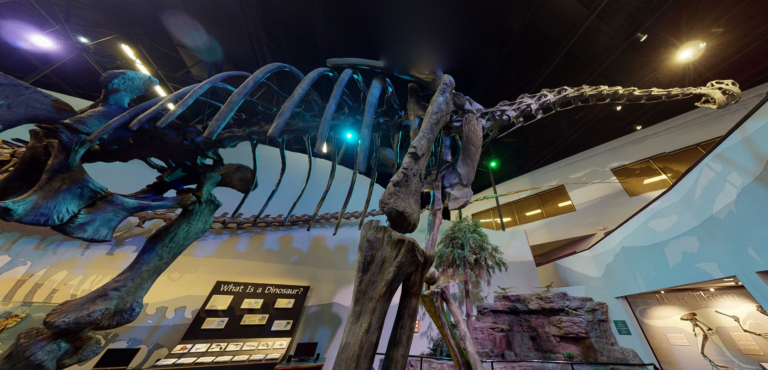 Brachiosaurus model at Museum Of Ancient Life.