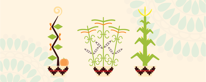 illustrated harvest plants for harvest day curiosity farms at Thanksgiving point
