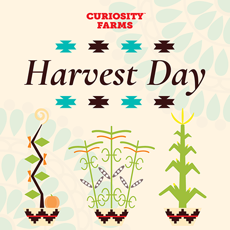 illustrated plants Harvest Day at Curiosity Farms at Thanksgiving Point