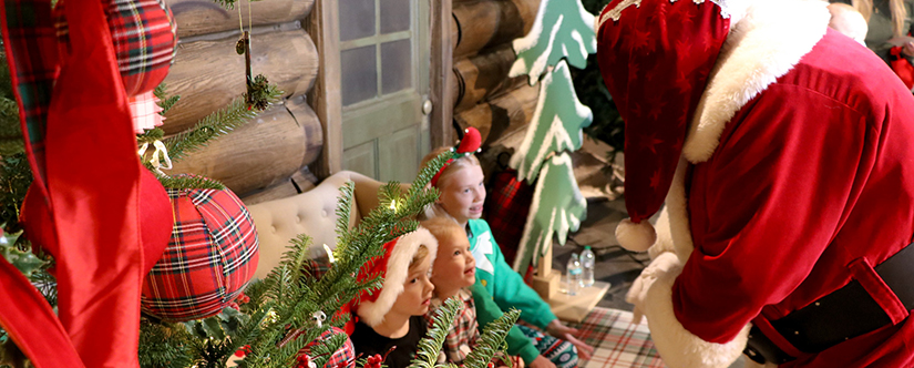 2 young boys pose with santa