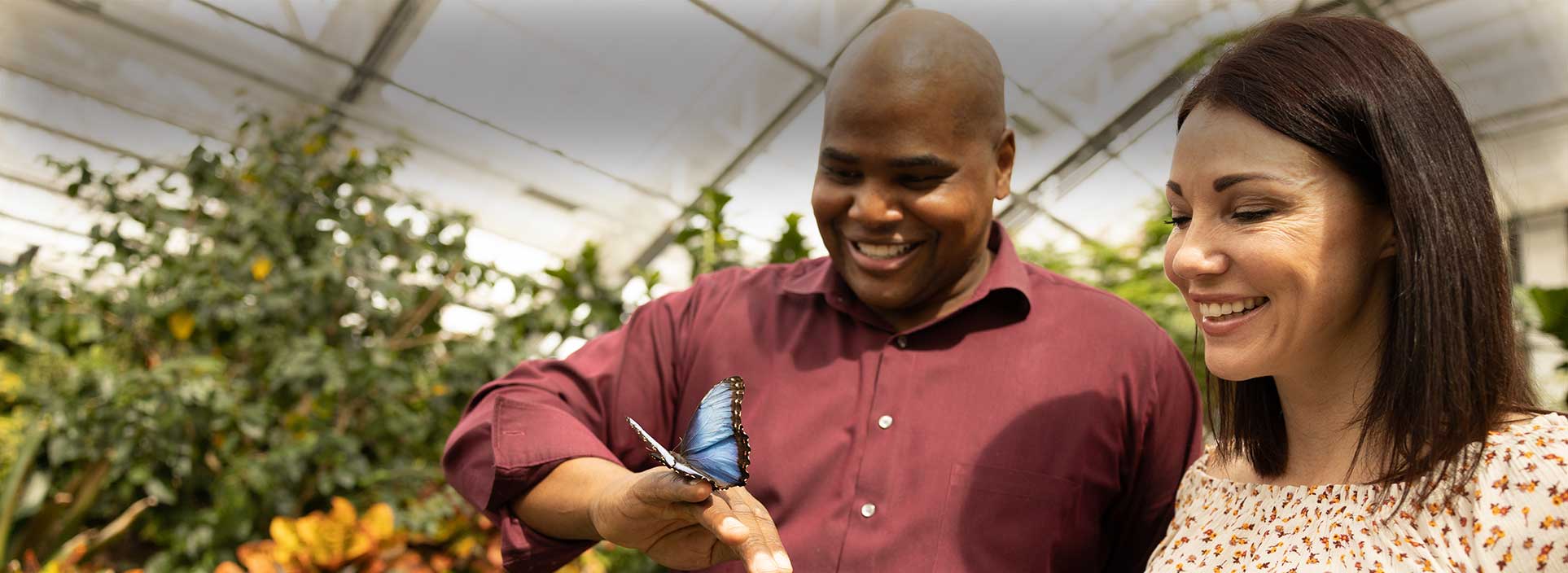 Thanksgiving Point App Thanksgiving Point