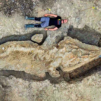 overhead view of man laying next to large fossil