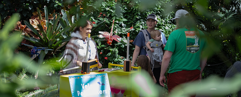 Entomologist surrounded by plants talking to guests