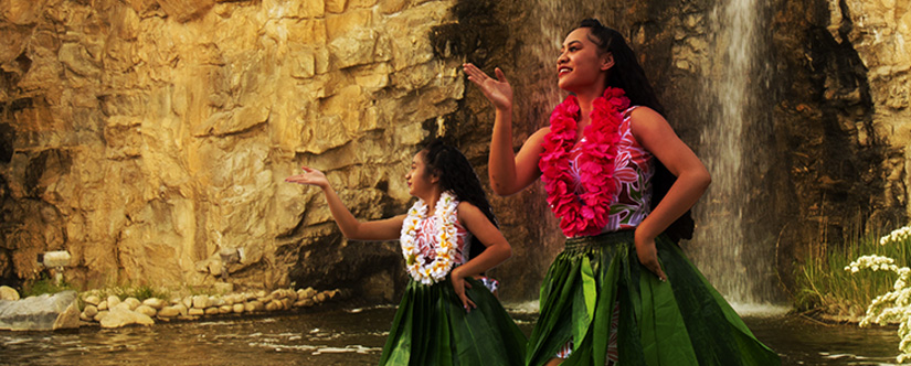 dancers with green skirts and pink leis dancing