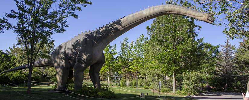 Giant roaring dinosaurs, larger-than-life bugs, fairy houses of all shapes and sizes, dueling pirate ship playgrounds, and more bring interactive play to the Ashton Gardens during Imaginaria.