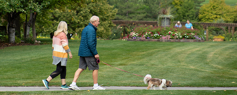 couple walking small dog on path through grass