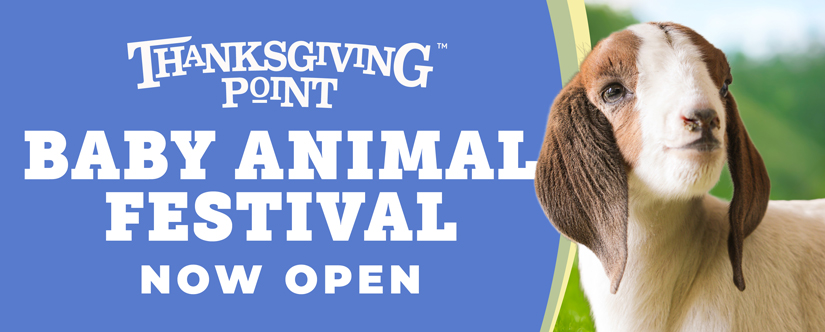 baby animal festival begins may 1