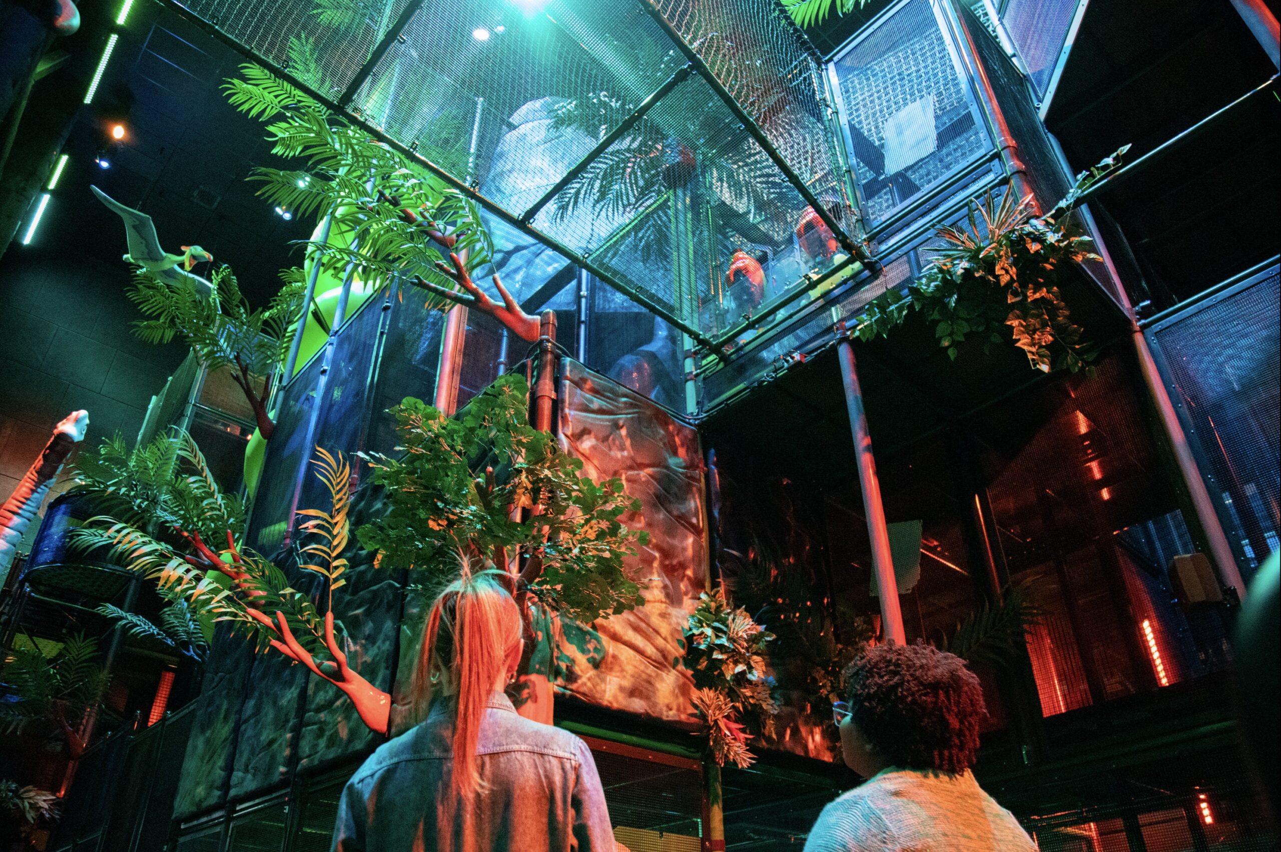 Family adventure at Jurassic Jungle