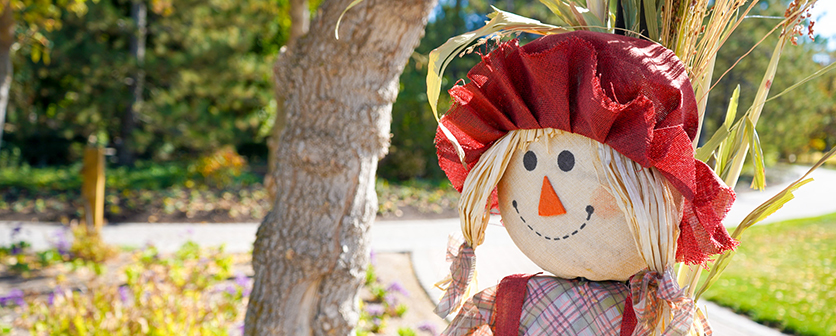 smiling scarecrow in Ashton Gardens for scarecrow festival thanksgiving point