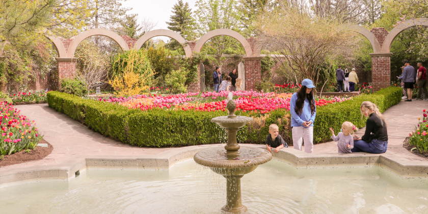 Last call for spring beauty—visit the Tulip Festival before it's gone!