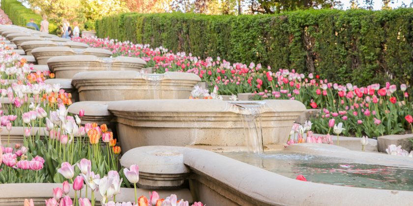 Colorful Spring Flowers at Utah’s Tulip Festival in Ashton Gardens