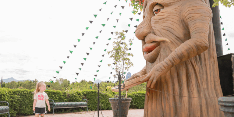 Let your curiosity lead – explore the magic tucked inside Whispering Woods.