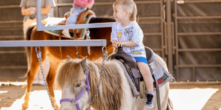 Feed a goat, ride a pony, and dig into the future of farming at Curiosity Farms!