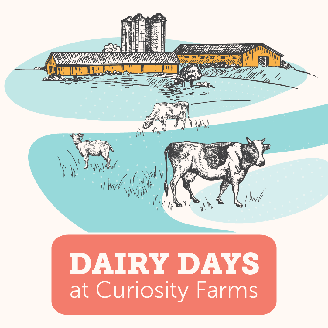 Dairy Days at Curiosity Farms at Thanksgiving Point