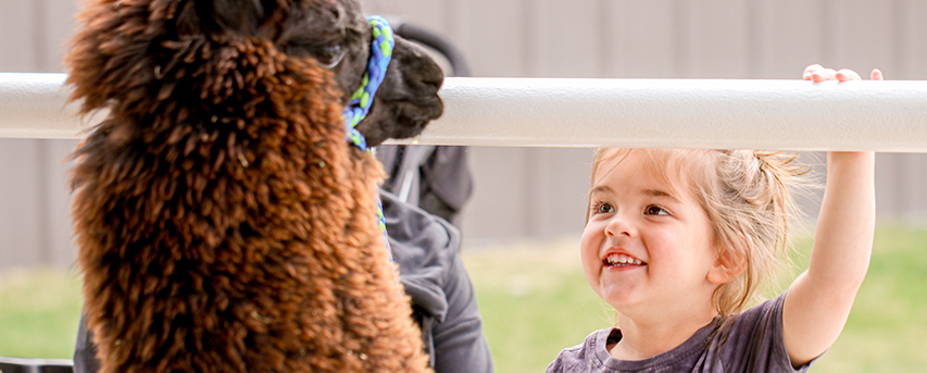 photo of young girl smiling at llama 