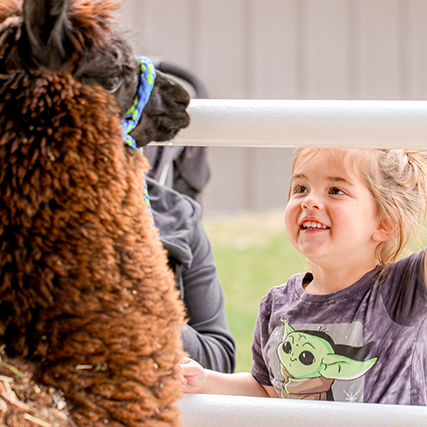 image of young girl smiling at llama