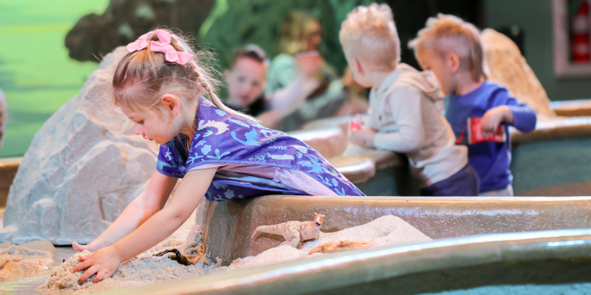 Want unlimited cool adventures – become a member and skip the summer heat.
