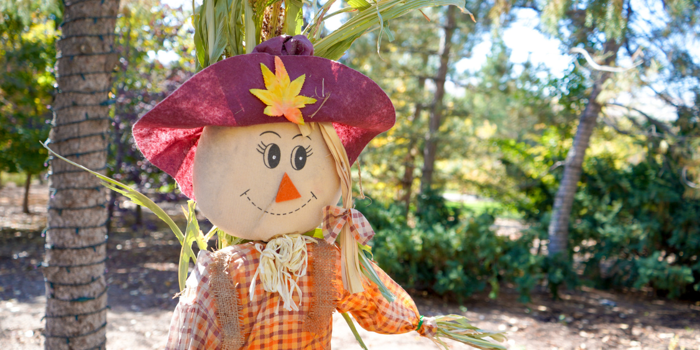 Featured image for blog post: Celebrate Fall at the Scarecrow Festival in Ashton Gardens 
