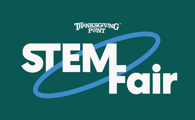 Stem Fair