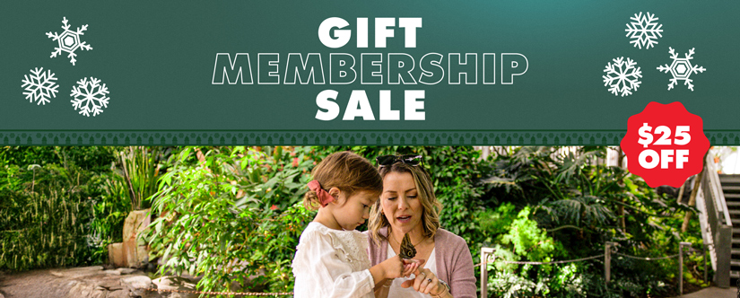 Gift Membership sale