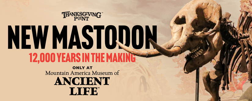 NEw Mastodon 12,000 years in the making next to mounted fossil
