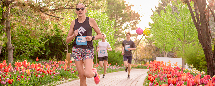 runners running along path of tulips 