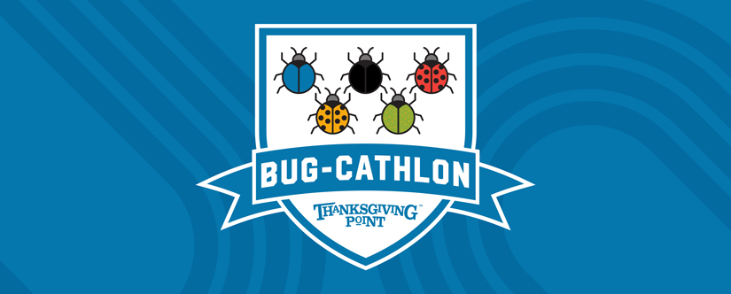 Bug-Cathlon 5 colored bugs lined up like olympic rings