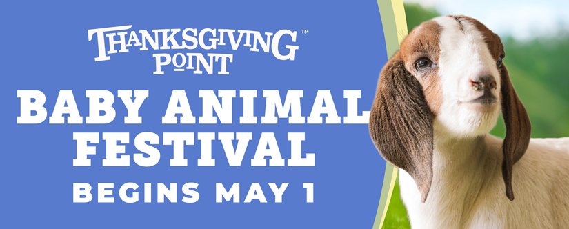 baby animal festival begins may 1