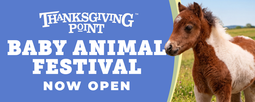 baby animal festival now open
