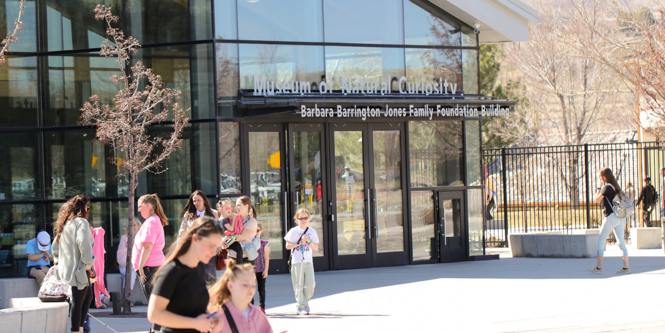 Featured image for blog post: How the Museum of Natural Curiosity Sparks Curiosity in Kids—At the Museum and at Home