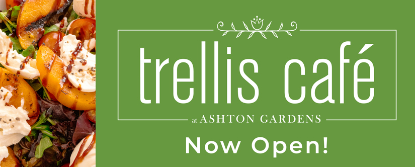 Trellis café now open ashton gardens