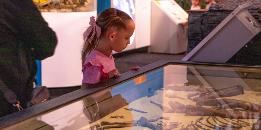 THINK LIKE A PALEONTOLOGIST